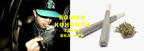 прущие грибы Баксан