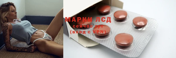 прущие грибы Баксан