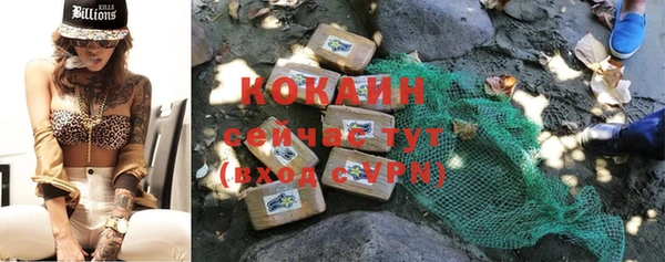 прущие грибы Баксан