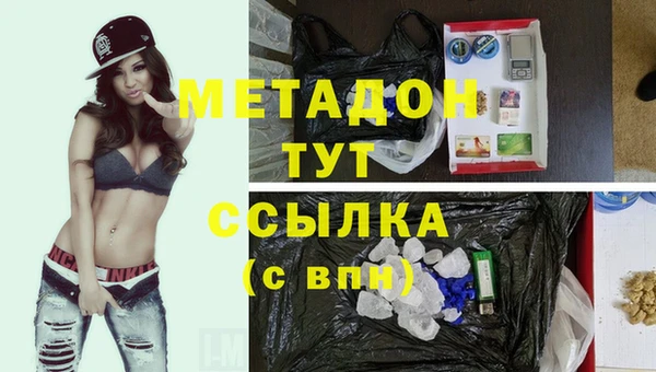прущие грибы Баксан