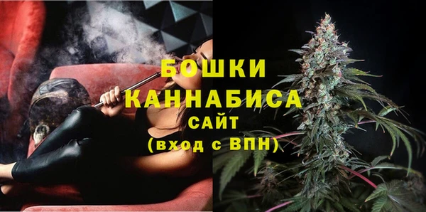 прущие грибы Баксан