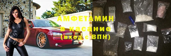 прущие грибы Баксан