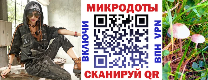 Псилоцибиновые грибы Psilocybe  Давлеканово 